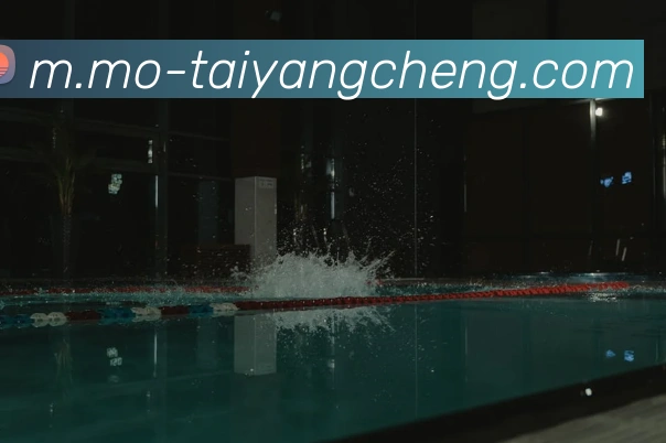 多媒体互动体验